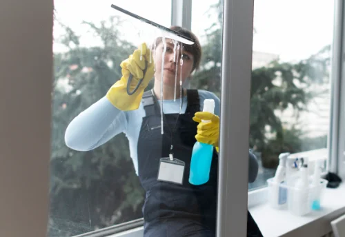 Nettoyage de vitres intérieures et extérieures à Mouchard